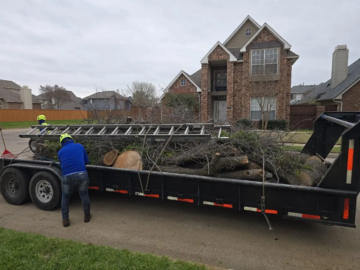 Expert Tree Fertilization with proper safety equipment in Lawson